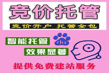 某电商平台的网络推广开户经验分享